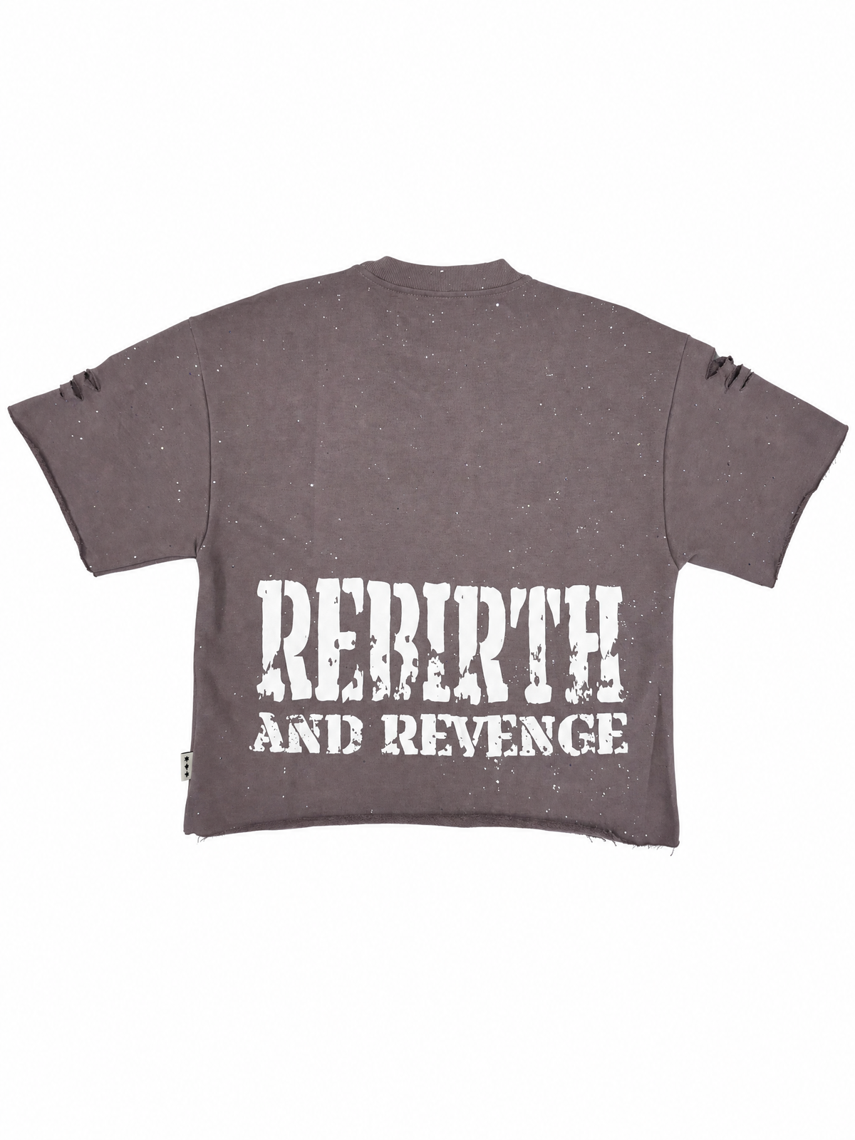 Rebirth Cropped Tee